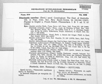 Image of Disciseda cervina